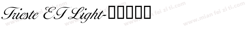Trieste EF Light字体转换